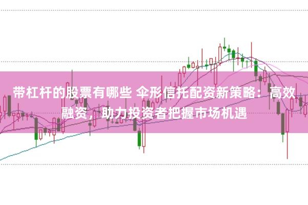 带杠杆的股票有哪些 伞形信托配资新策略:高效融资,助力投资者把握市场机遇