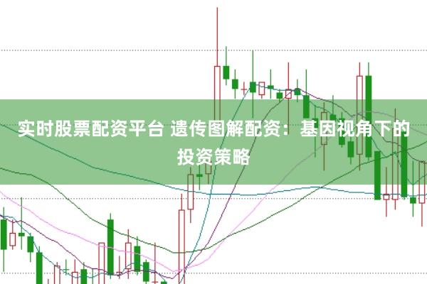实时股票配资平台 遗传图解配资:基因视角下的投资策略