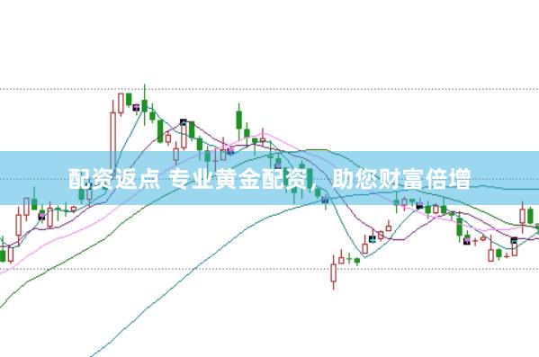 配资返点 专业黄金配资,助您财富倍增