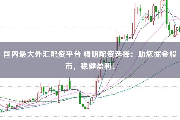 国内最大外汇配资平台 精明配资选择:助您掘金股市,稳健盈利!
